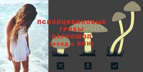 гидропоника Алексин