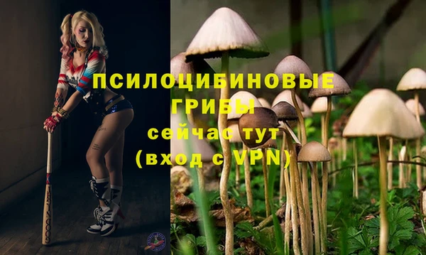 бутират Абаза