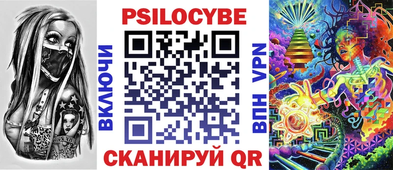 дарнет шоп  Заводоуковск  omg как войти  Галлюциногенные грибы Psilocybe 