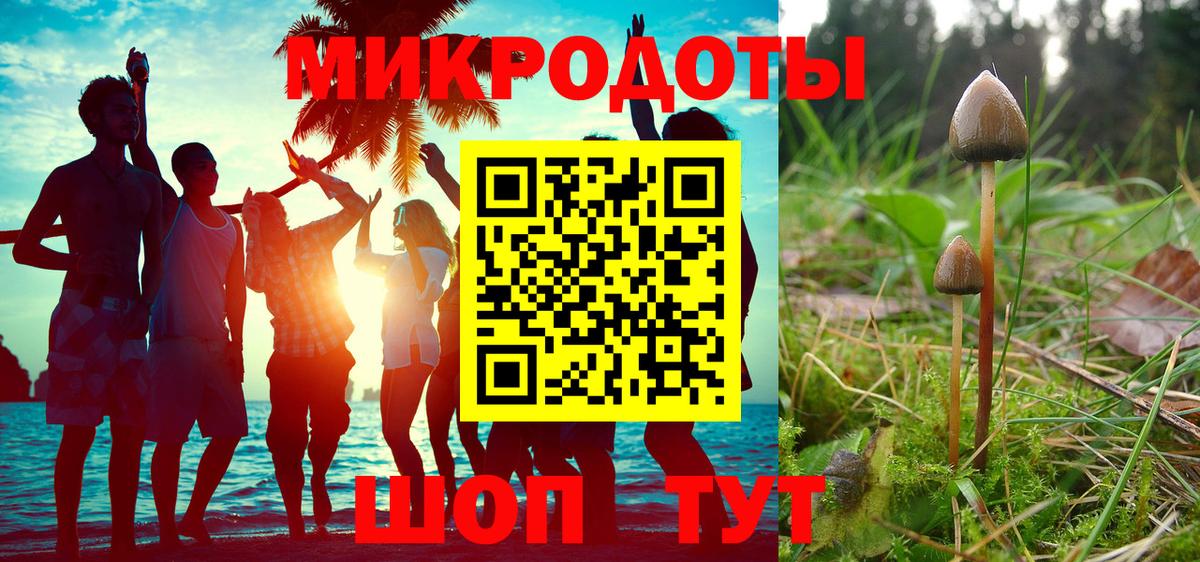 Галлюциногенные грибы мицелий  как найти   Заводоуковск  Вход с VPN 