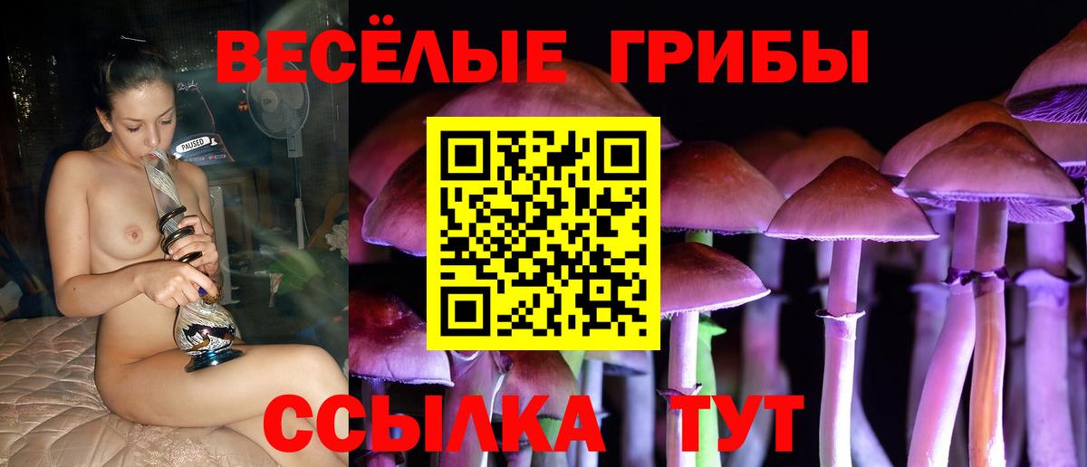 Псилоцибиновые грибы мухоморы Заводоуковск