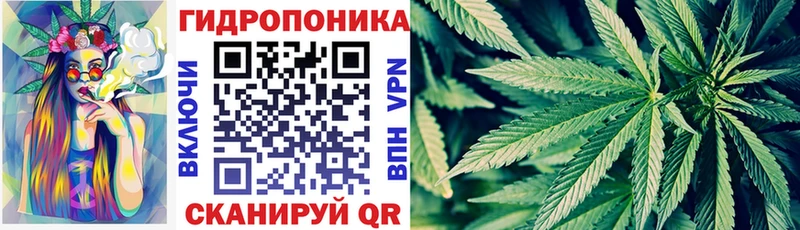 Бошки Шишки Ganja  дарнет шоп  Заводоуковск 
