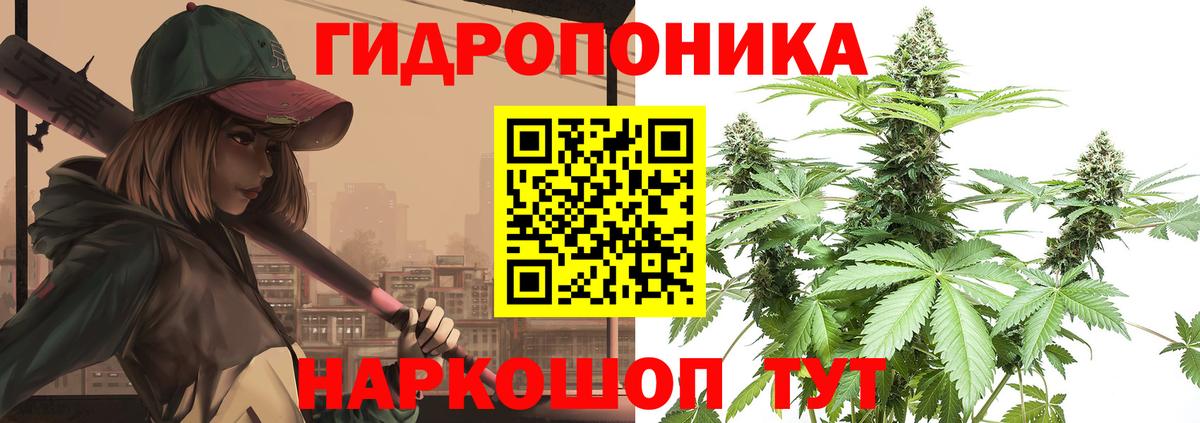 Канабис OG Kush  Вход с VPN  Заводоуковск  Бошки Шишки Amnesia  Бошки марихуана White Widow 